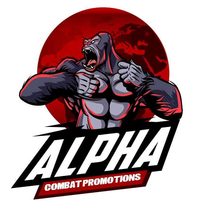 Fundación Alpha Team